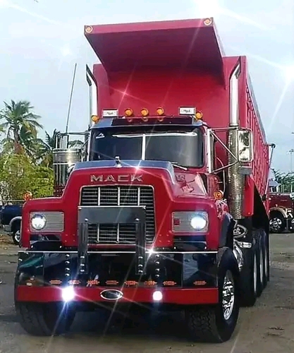 truckin D'iva's profile