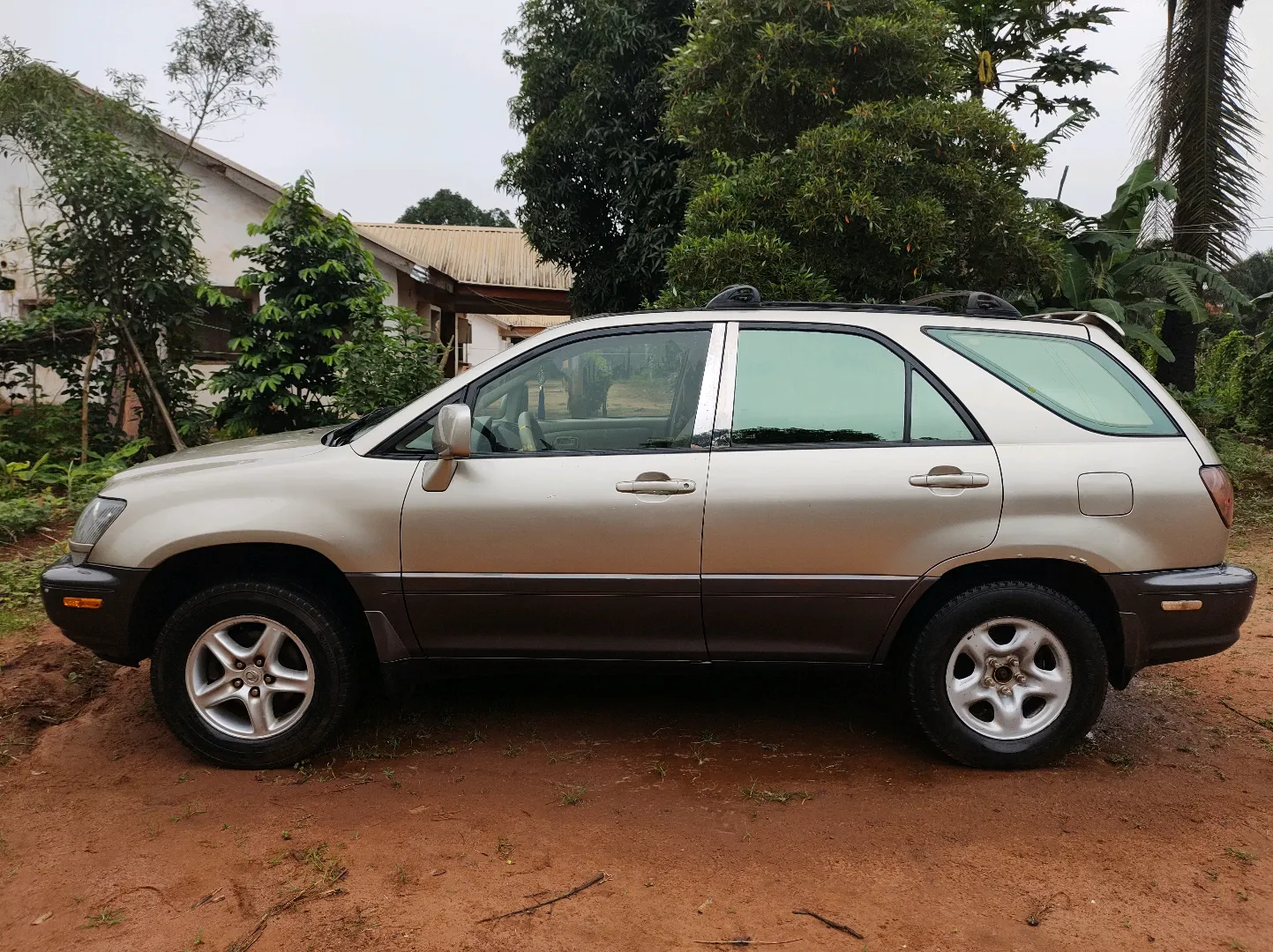 LEXUS RX